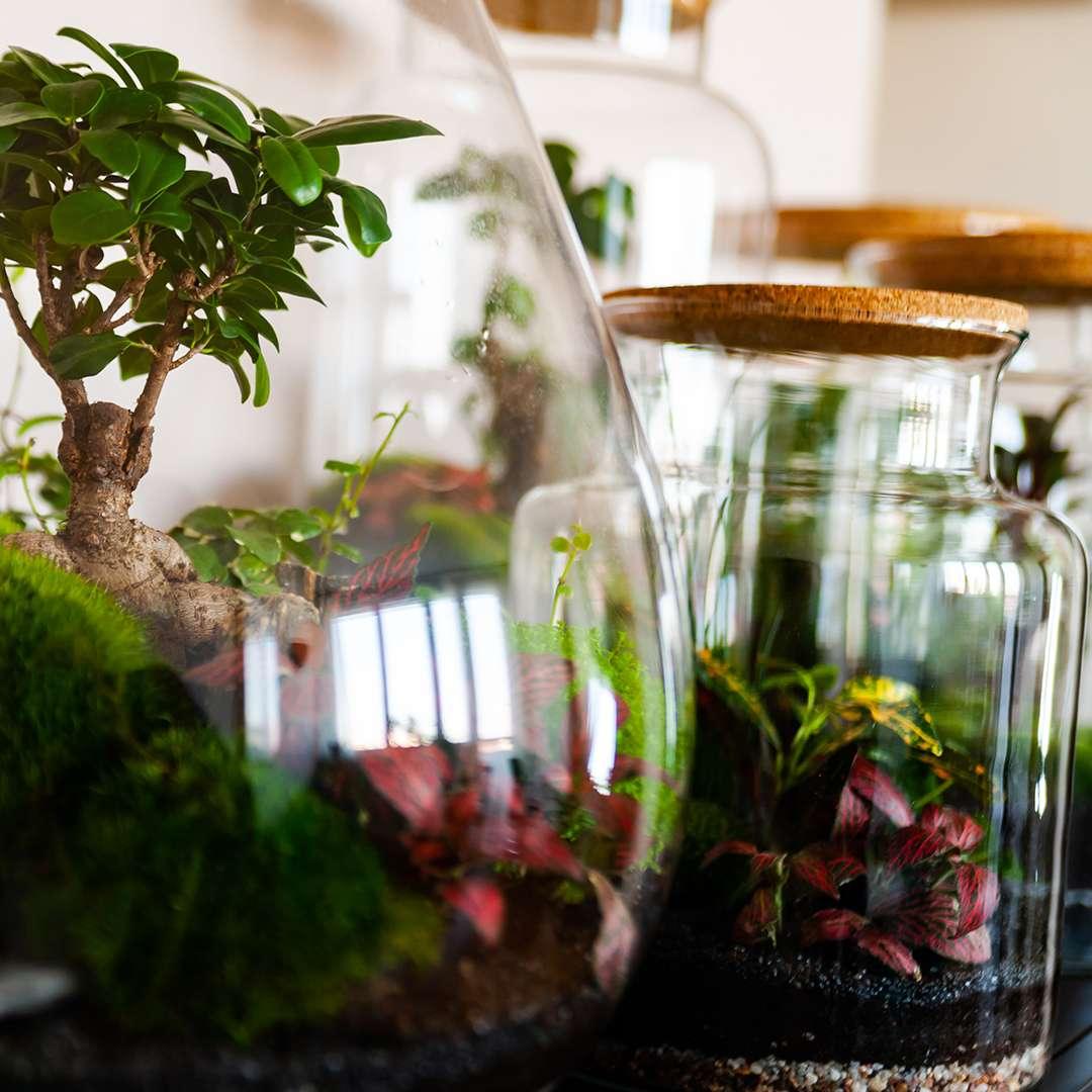 LOVIVER Vaso Di Vetro Per Terrario - Bottiglia Per Micro Paesaggio, Fiore E Piante Grasse - Contenitore Decorativo Per Casa, Ufficio, Camera Da Letto