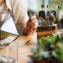 Accessori per terrarium - utensili e supporti per cura piante