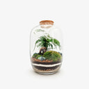 Primo piano bonsai Ficus Ginseng nel terrarium chiuso