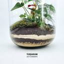 Particolare terrarium anthurium