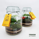 Esempio di Terrarium per bomboniere
