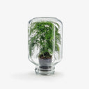 Terrarium Metaverso - Vista laterale dell'ecosistema chiuso