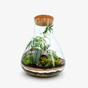 Dettaglio della struttura del terrarium Pink Princess, con visibile il sistema di chiusura ermetica che mantiene l'umidità ideale per la pianta