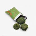 Dettaglio Ball Moss texture - Elemento vitale per ecosistemi in vetro