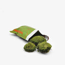 Ball Moss naturale sferico - Muschio decorativo per terrarium