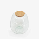 Dettaglio vaso terrarium con tappo sughero sostenibile, diametro 23cm apertura 10cm
