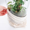 Esempio terrarium gift