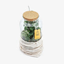 Sacca in cotone XL che avvolge elegantemente un terrarium