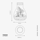 Scheda tecnica del terrarium Pink Princess con specifiche dettagliate su dimensioni, cura, condizioni di luce e umidità consigliate per la pianta