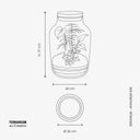 Scheda tecnica del Terrarium Anthurium Mix con specifiche dettagliate: dimensioni di 37cm di altezza e 26cm di diametro, elenco delle piante incluse (Anthurium, Asparagus setaceus, Edera e Felce) e istruzioni per la cura dell'ecosistema chiuso.