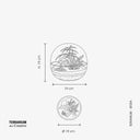 Scheda tecnica del Terrarium Sfera con specifiche dettagliate: dimensioni di 19cm di altezza e 19cm di diametro, elenco delle piante incluse (Philodendron White Princess, Fittonia Red Angel e Asparagus Setaceus) e istruzioni per la cura dell'ecosistema chiuso.