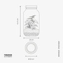 Scheda tecnica del Terrarium Syngonium con specifiche dettagliate: dimensioni, istruzioni di cura, requisiti di luce, temperatura ideale (16-27°C), frequenza di annaffiatura (circa una volta all'anno) e consigli per la potatura.