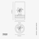 Scheda tecnica del Terrarium Ginseng Essential con misure dettagliate del vaso in vetro e dimensioni complessive. Specifiche precise per valutare l'inserimento in ogni ambiente