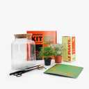Terrarium KIT Medium completo con vaso in vetro, piante Fittonia e Asparagus, e tutti i materiali inclusi
